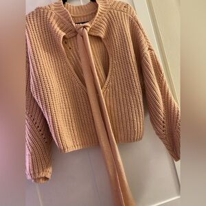 Pink V-Neck Knit Backless Sweater